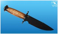 DV1 1.jpg